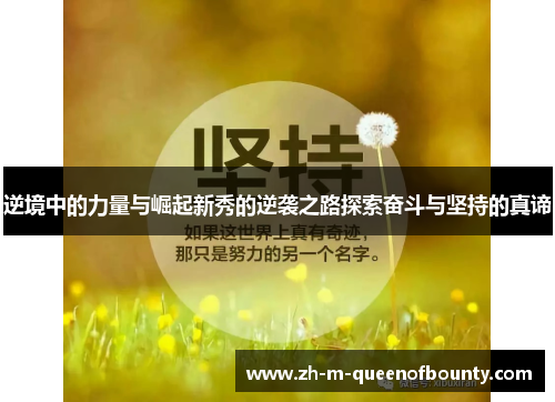 逆境中的力量与崛起新秀的逆袭之路探索奋斗与坚持的真谛