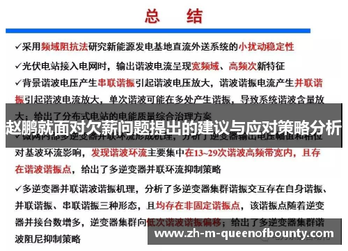 赵鹏就面对欠薪问题提出的建议与应对策略分析 赵鹏就面对欠薪问题提出的建议与应对策略分析